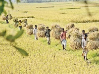 The system has the largest online database of verified farmers